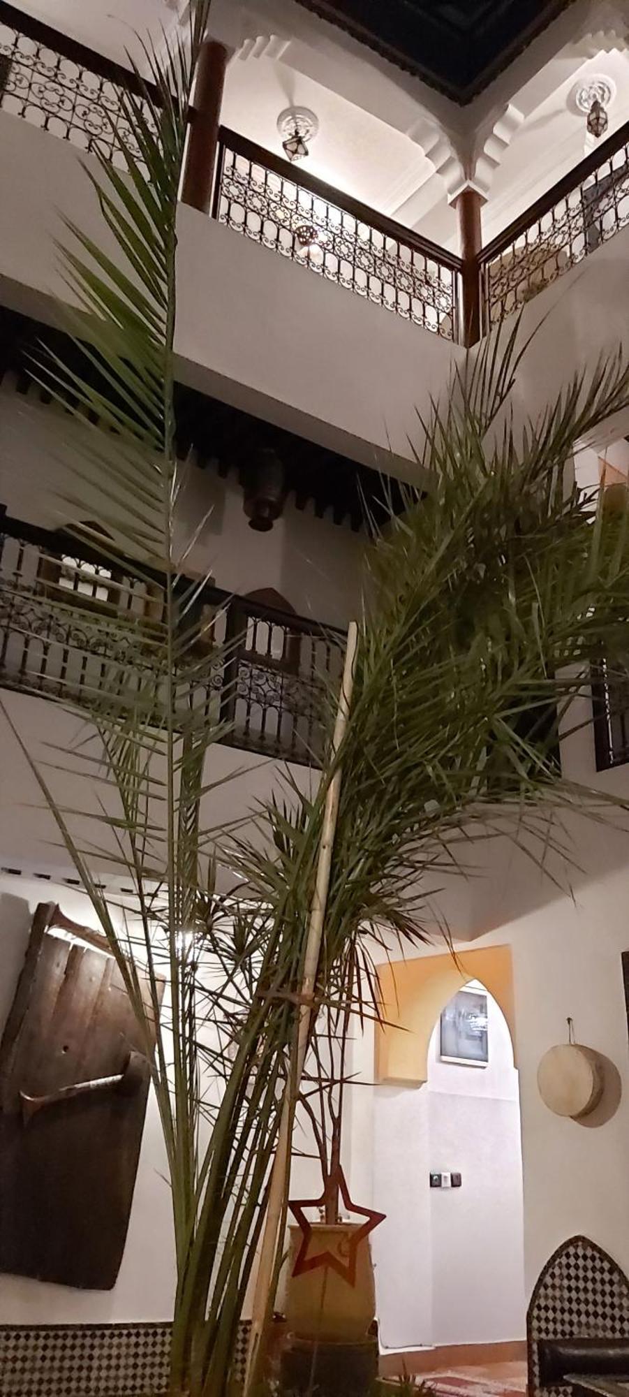 מרקש Riad Ajebel מראה חיצוני תמונה